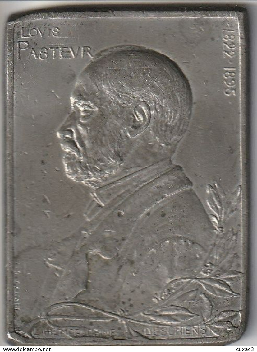 Plaque En étain , Louis Pasteur , L'hemoglobine Deschiens - Other & Unclassified