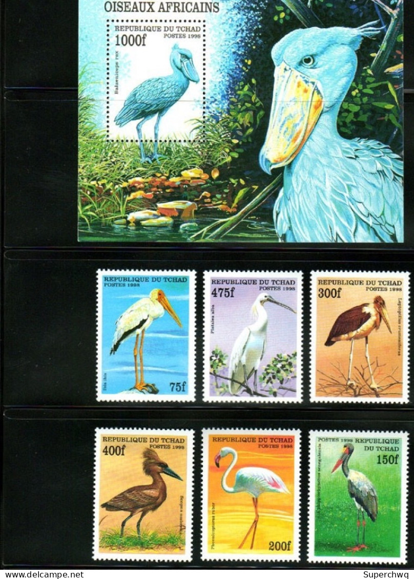 Chad 1998 Wading Bird, Water Bird, Whale Headed Stork，6v+MS MNH - Tchad (1960-...)