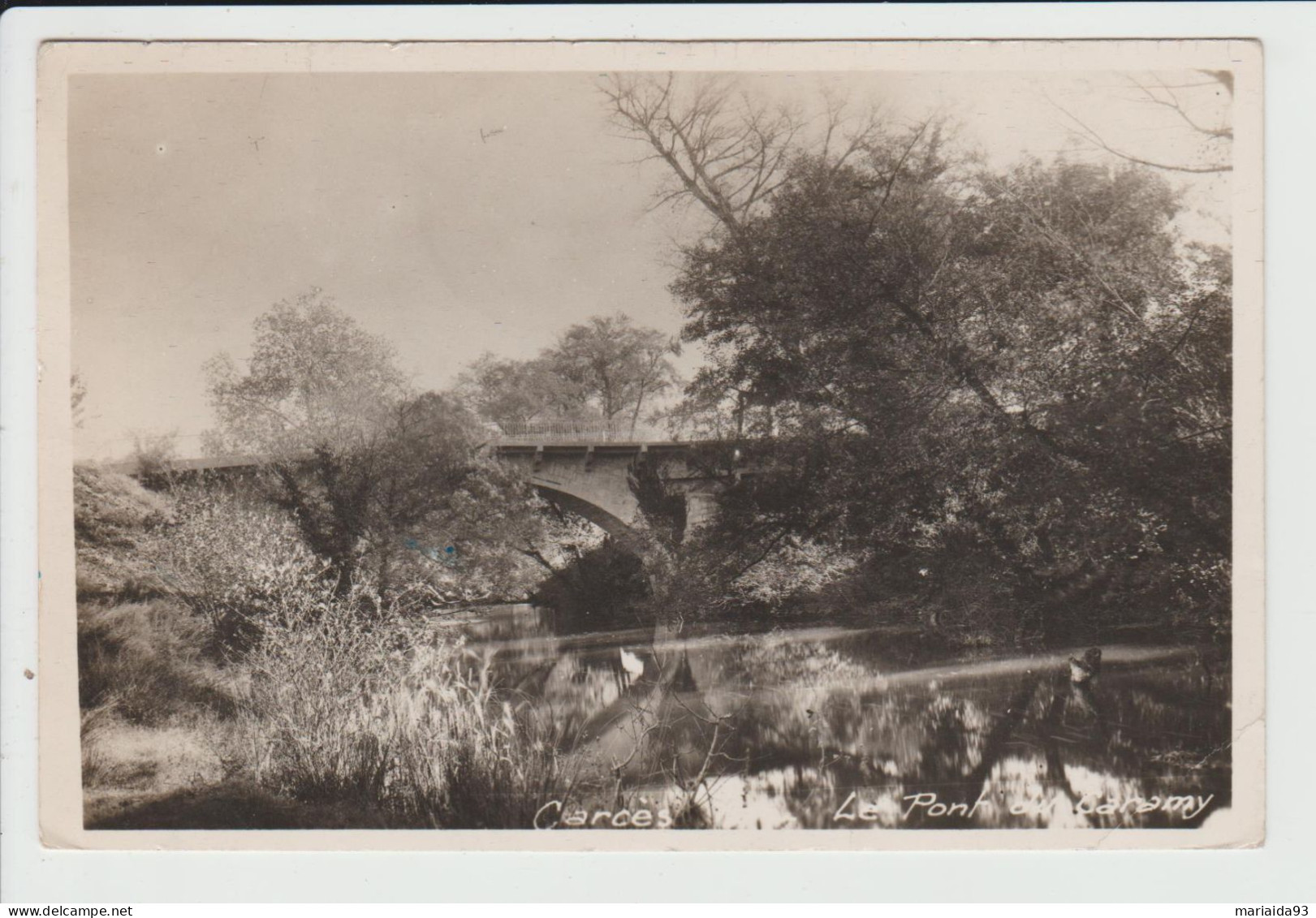 CARCES - VAR - LE PONT DU CARAMY - Carces