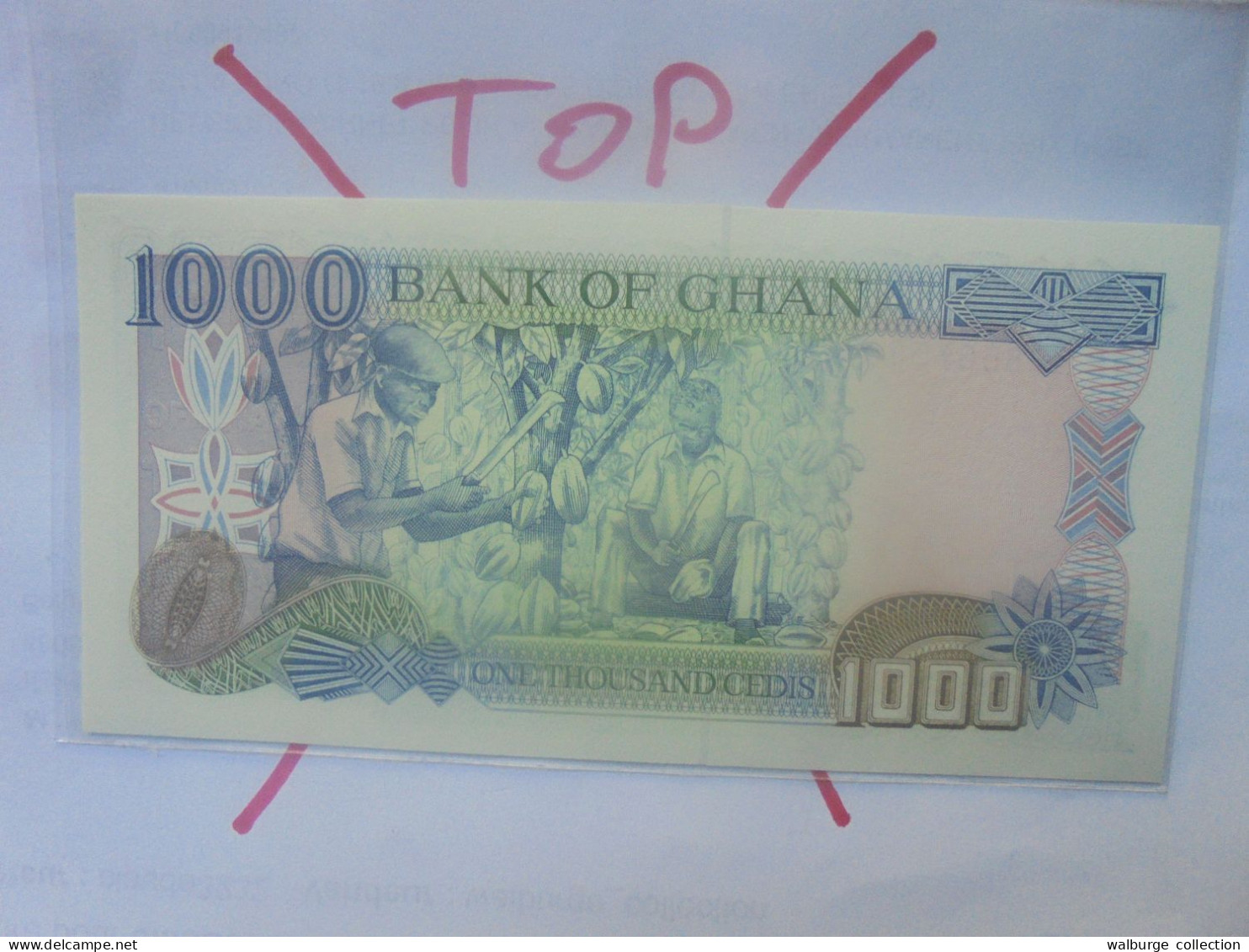 GHANA 1000 CEDIS 1996 Neuf (B.29) - Ghana