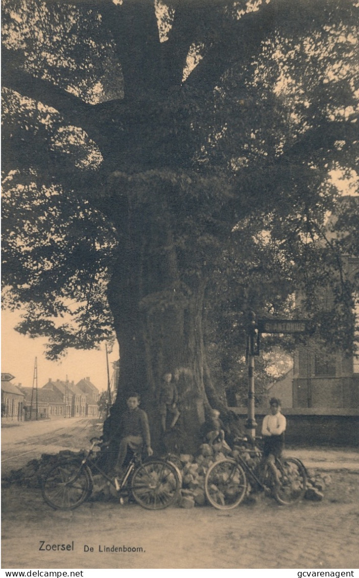 ZOERSEL   DE LINDEBOOM   KINDEREN MET FIETS   2 SCANS - Zoersel