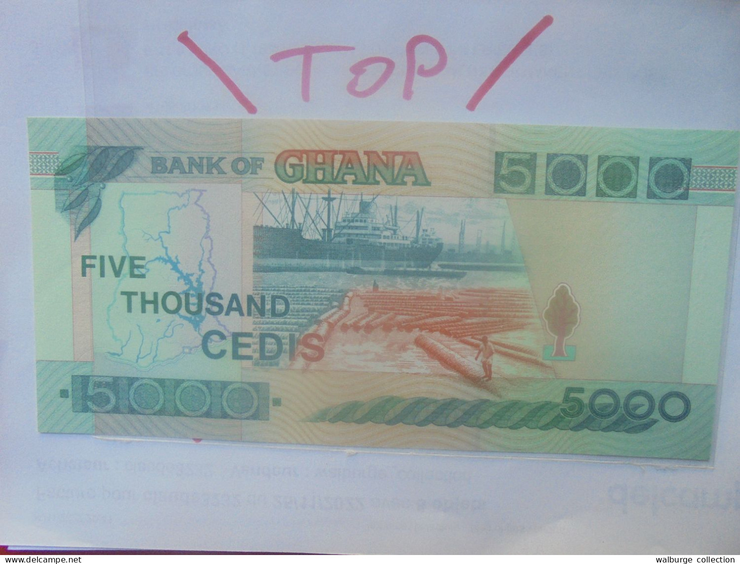 GHANA 5000 CEDIS 1996 Neuf (B.29) - Ghana