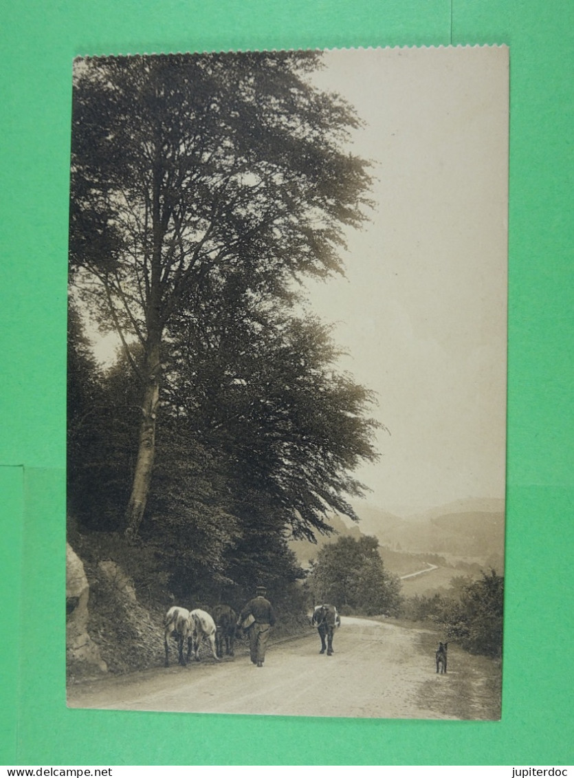 Vallée De La Semois Auby Et Environs Le Chemin De La Cornette Aux Hayons - Bertrix