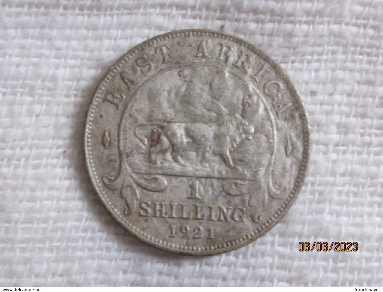 East Africa: 1 Shilling 1921 (silver) - Colonia Británica