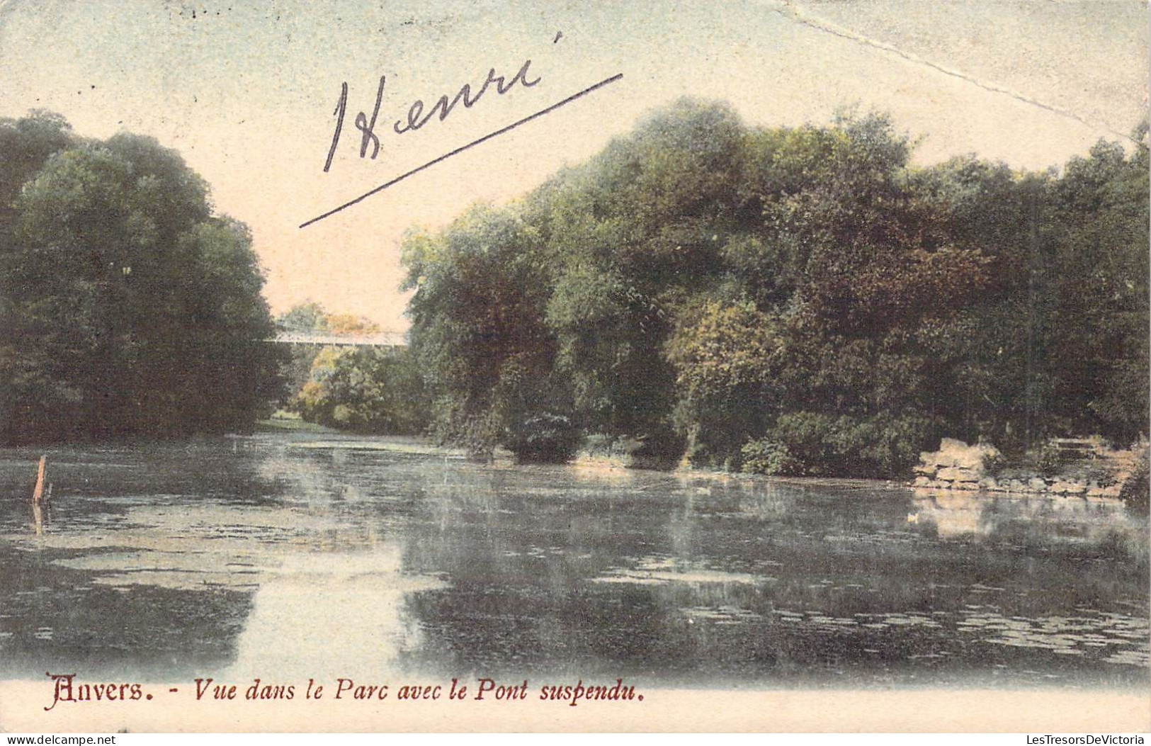 BELGIQUE - ANVERS - Vue Dans Le Parc Avec Le Pont Suspendu - Carte Postale Ancienne - Antwerpen