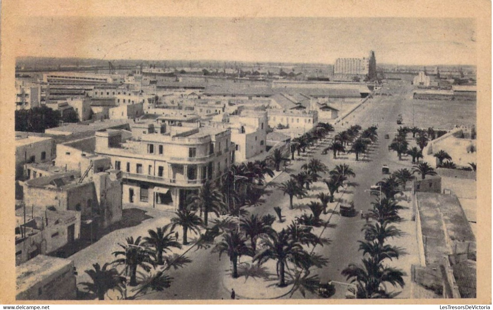 MAROC - Casablanca - Boulevard Du 4e Zouaves - Carte Postale Ancienne - Casablanca