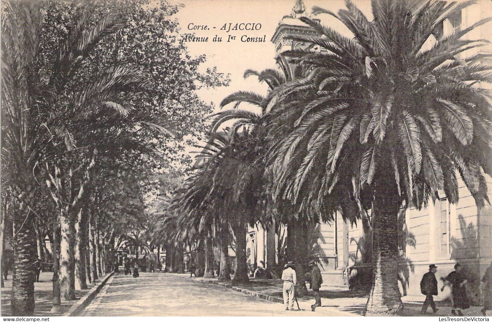 FRANCE - 2A - Ajaccio - Avenue De Ier Consul - Carte Postale Ancienne - Ajaccio