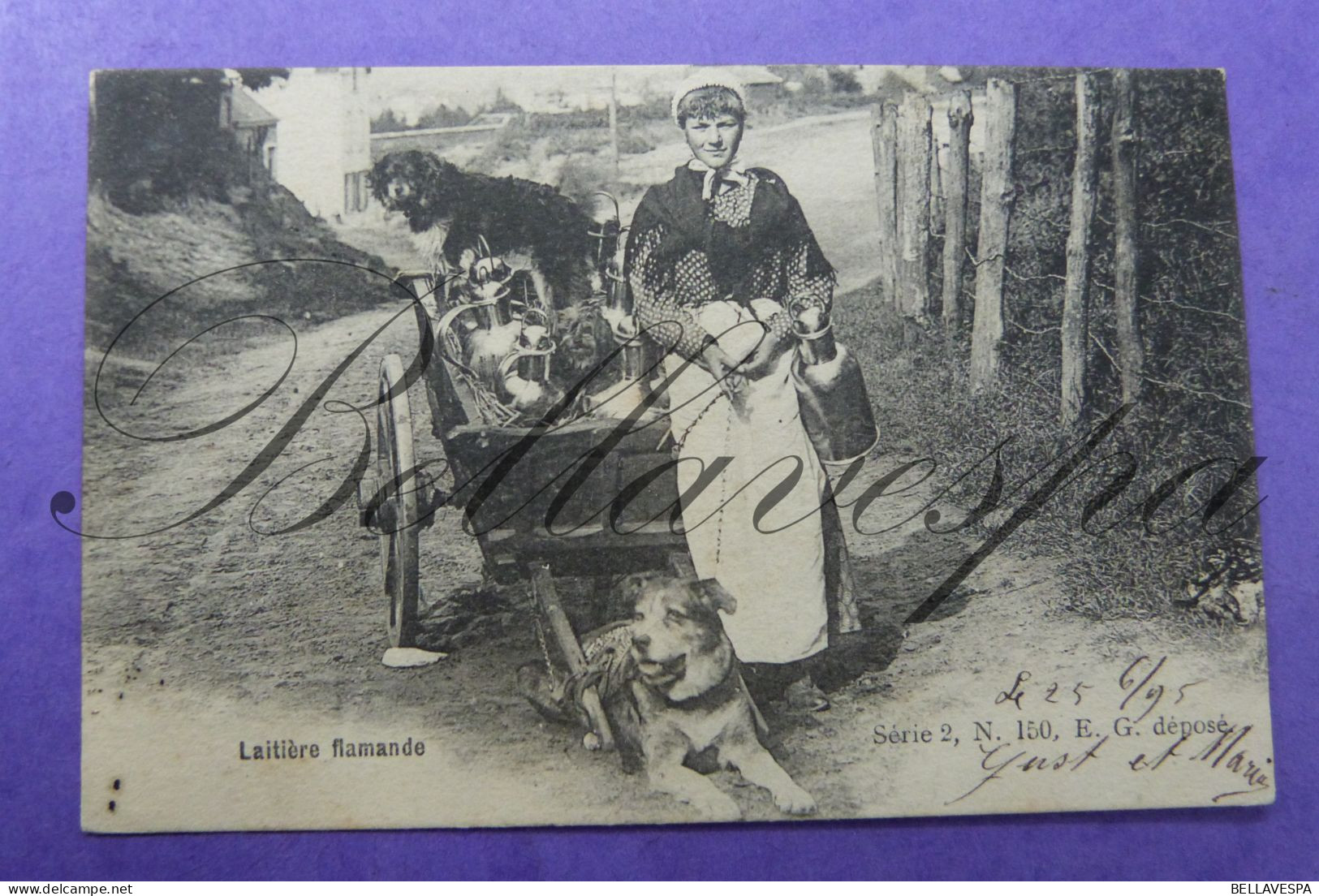 Laitieres Chien Flamandes . Edit E.G.. Serie 2 N° 150 Trekhond -Vlaamse Mastiff Attelage 1905 Petit Metier - Vendedores Ambulantes