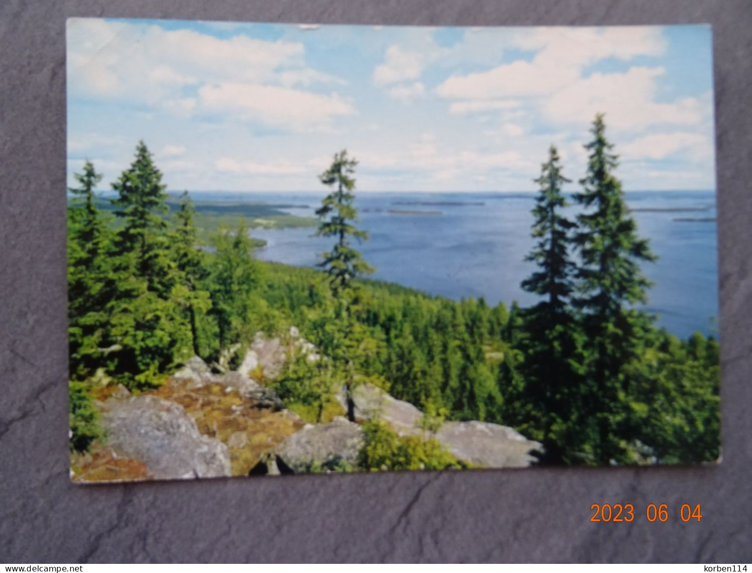 VIEW OVER LAKE PIELISJARVI - Finland