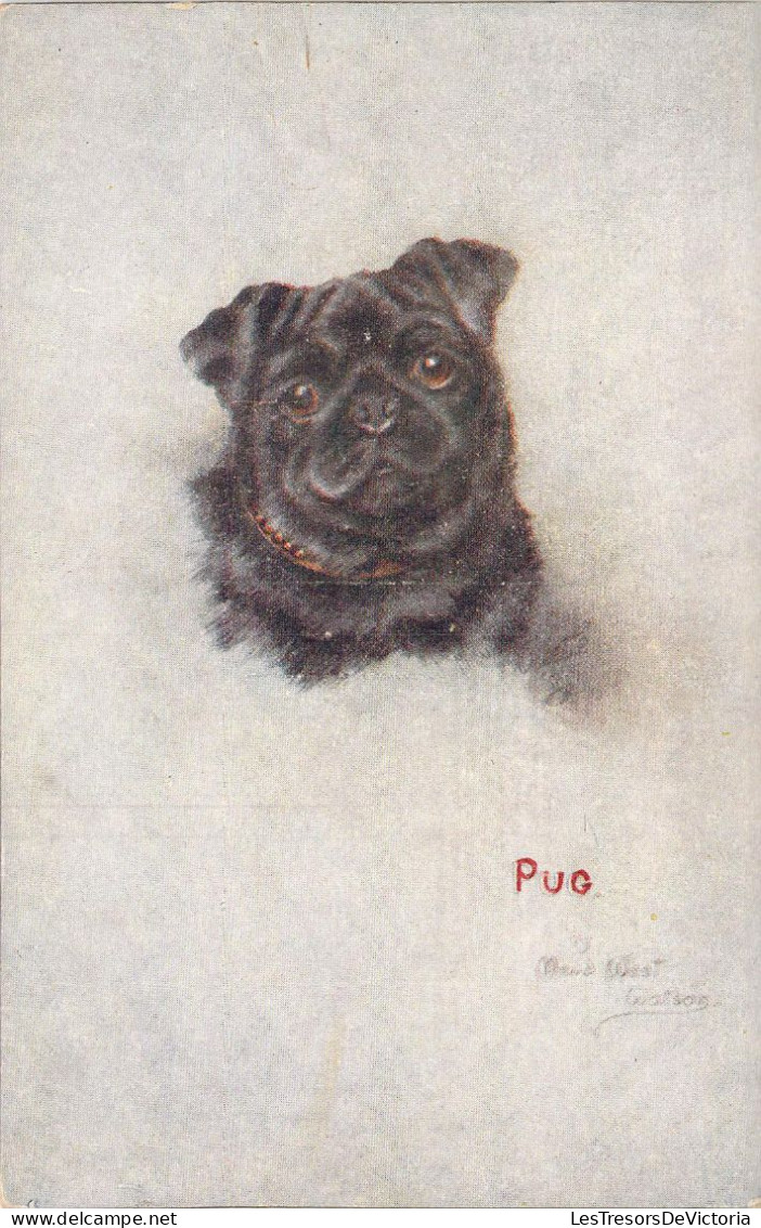 CHIENS - Pug - Carlin - Illustration Maud West Watson - Carte Postale Ancienne - Dogs