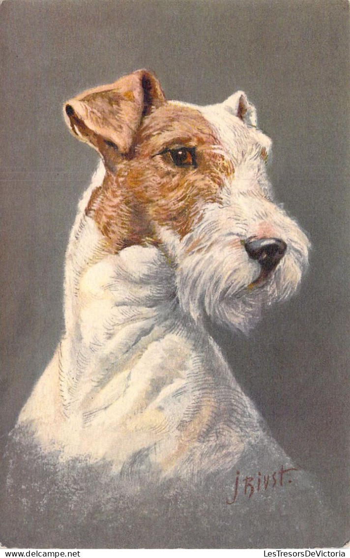 CHIENS - Fox Terrier - Illustration J RUIST - Carte Postale Ancienne - Chiens