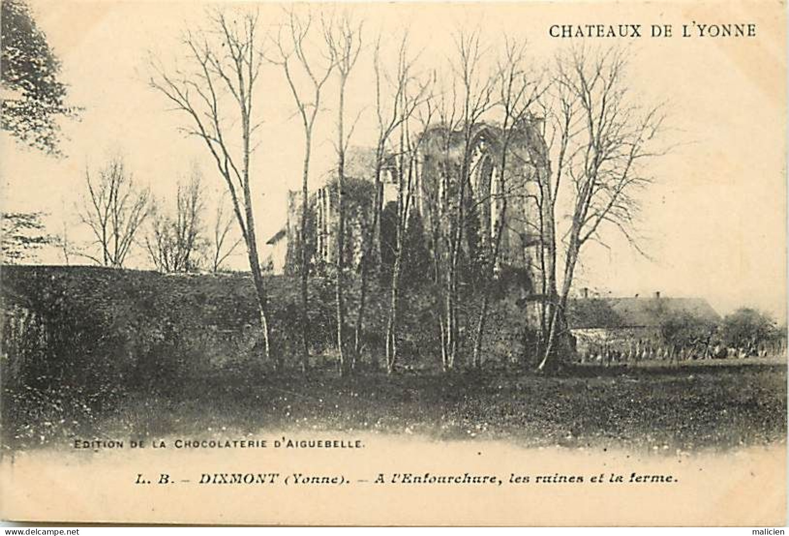 - Yonne - Ref-A680- Dixmont - à L Embouchure- Ruines Et Ferme - Chateau - Chateaux De L Yonne - Edition Aiguebelle - - Dixmont