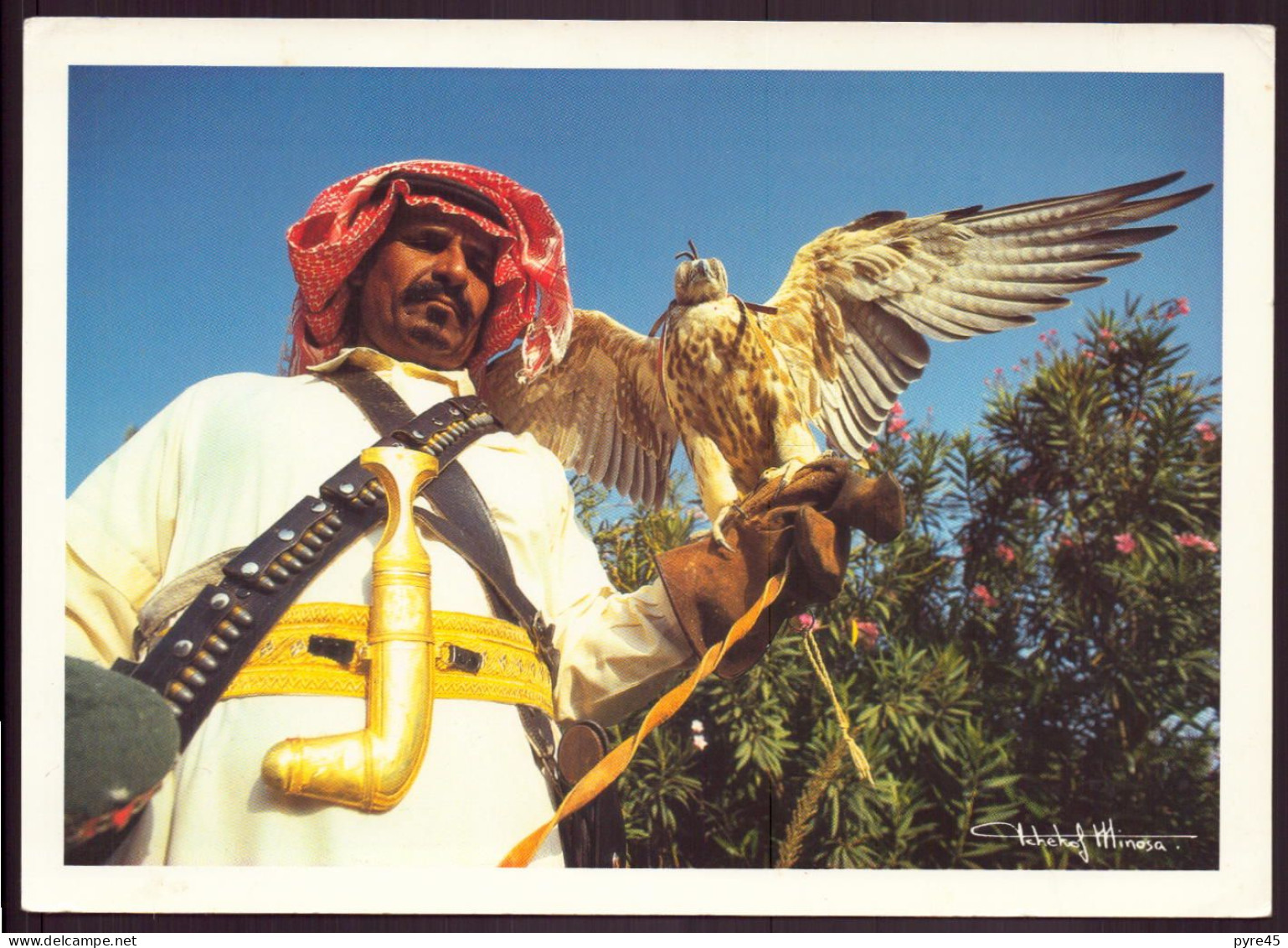 ARABIE SAOUDITE THE FALCONER KINGDOM OF SAUDI ARABIA 17 X 21 CM - Arabie Saoudite