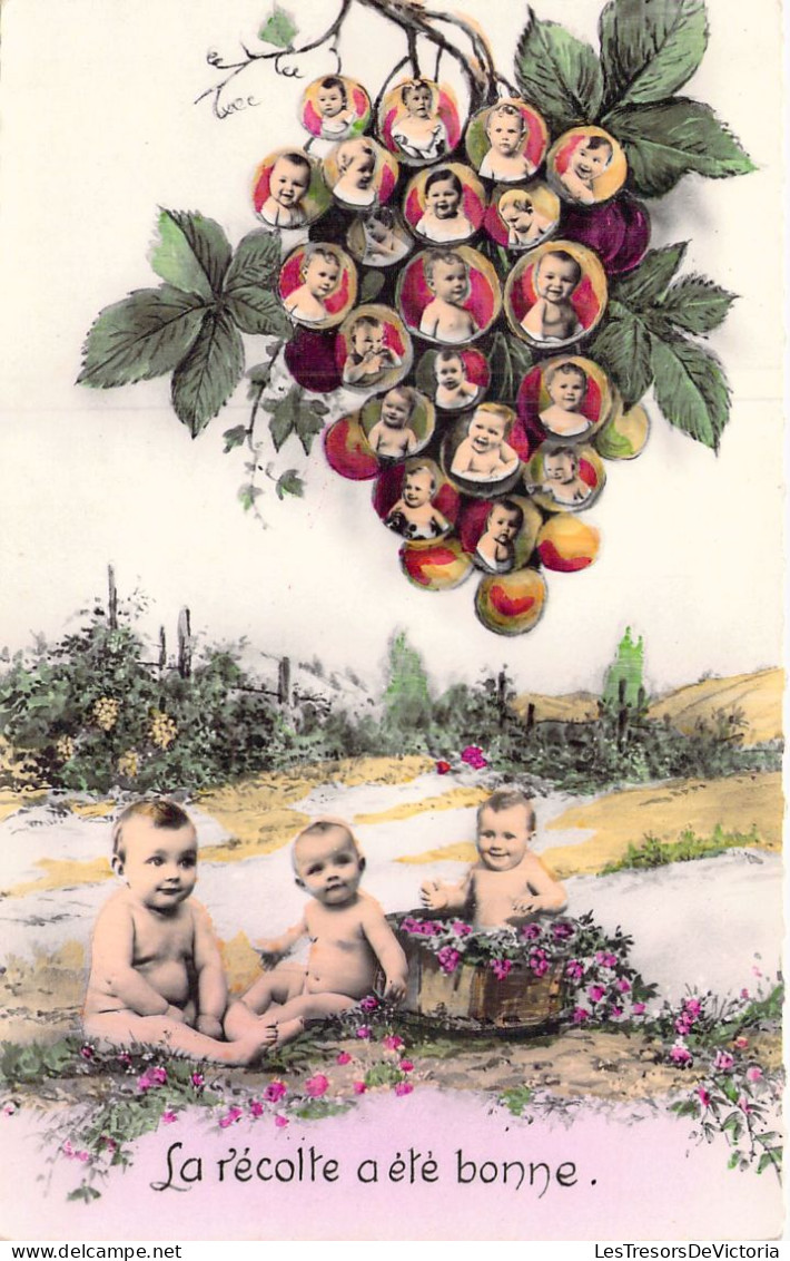 FANTAISIE - La Récolte A été Bonne - Bébés Dans Les Vignes - Carte Postale Ancienne - Bebes