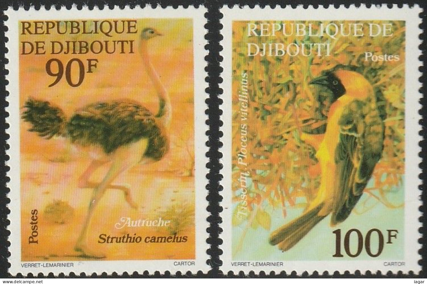 THEMATIC FAUNA:  BIRDS.  OSTRICH,  WEAVER   -   DJIBOUTI - Ostriches