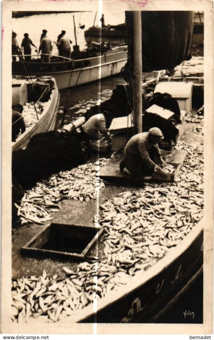 29 .  DOUARNENEZ .  TRIAGE DE LA PECHE SUR LE CHALUTIER       ( Trait Blanc Pas Sur Original ) - Douarnenez