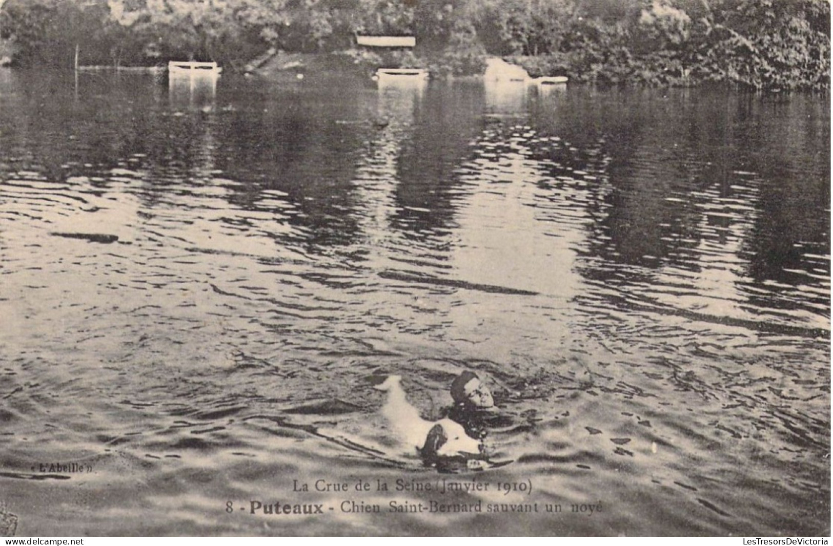 FRANCE - 92 - PUTEAUX - Chieu Saint Bernard Sauvant Un Noyé - La Crue De La Seine - Carte Postale Ancienne - Puteaux