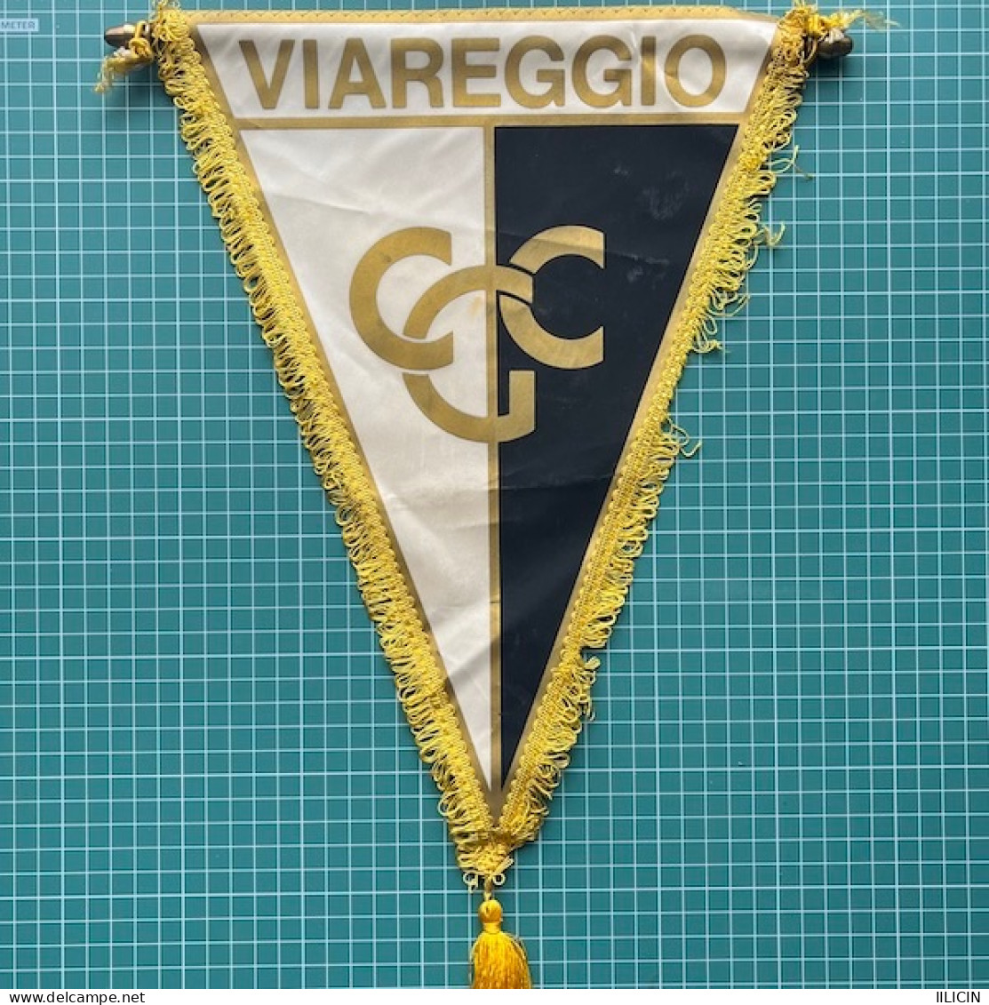 Flag Pennant Banderín ZA000583 - Football Soccer Calcio Roller Hockey Italy CGC Centro Giovani Calciatori Viareggio - Habillement, Souvenirs & Autres