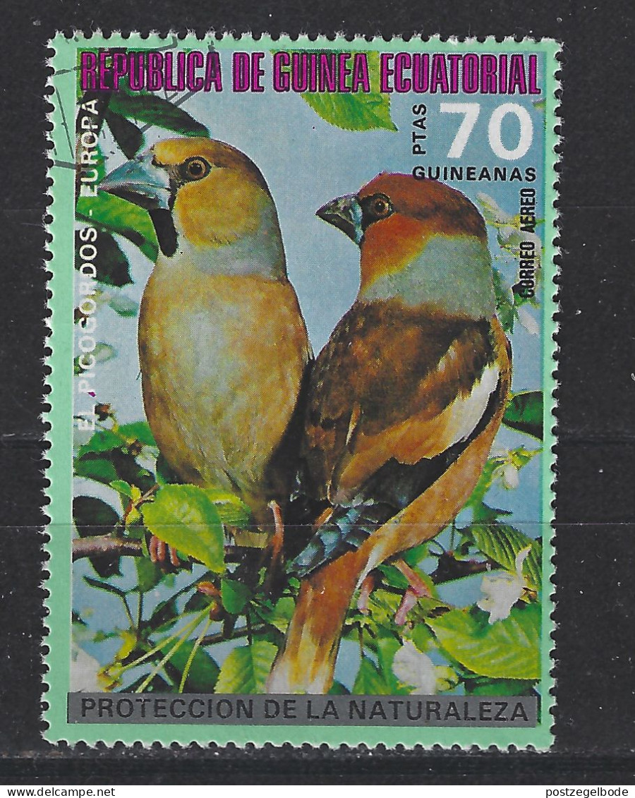 Guinea Ecuatorial Used ;  Appelvink Hawfinch Gros Bec Cassenoyeaux Pirogordo Vogel Bird Ave Oiseau - Mussen