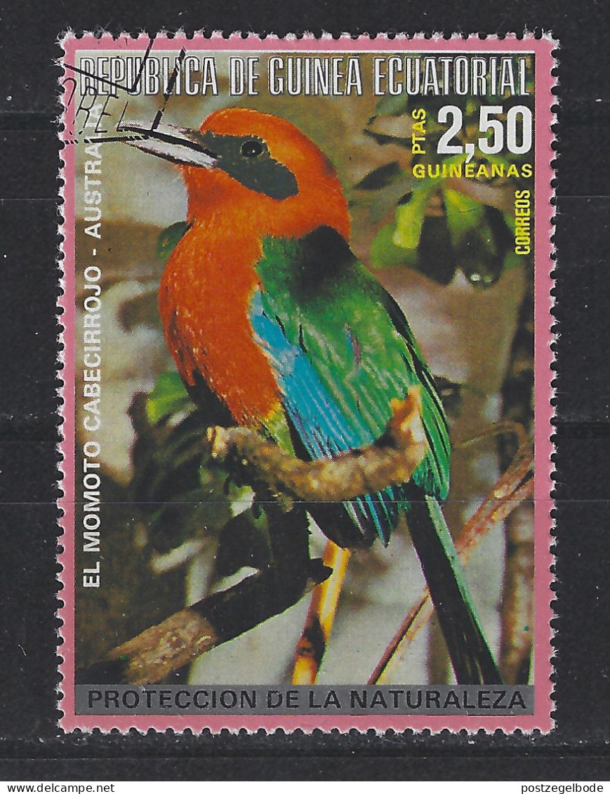 Guinea Ecuatorial Used  ; Momot Vogel Bird Ave Oiseau - Pappagalli & Tropicali