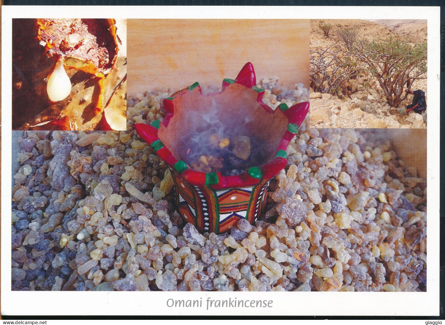 °°° GF283 - SULTANATE OF OMAN - OMANI FRANKINCENSE °°° - Oman