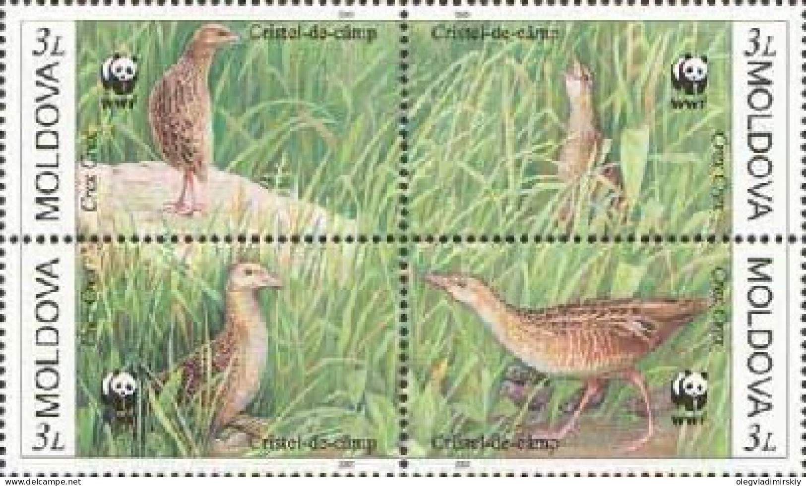 Moldova 2001 WWF Rare Birds Set Of 4 Stamps In Block 2x2 Mint - Cuco, Cuclillos