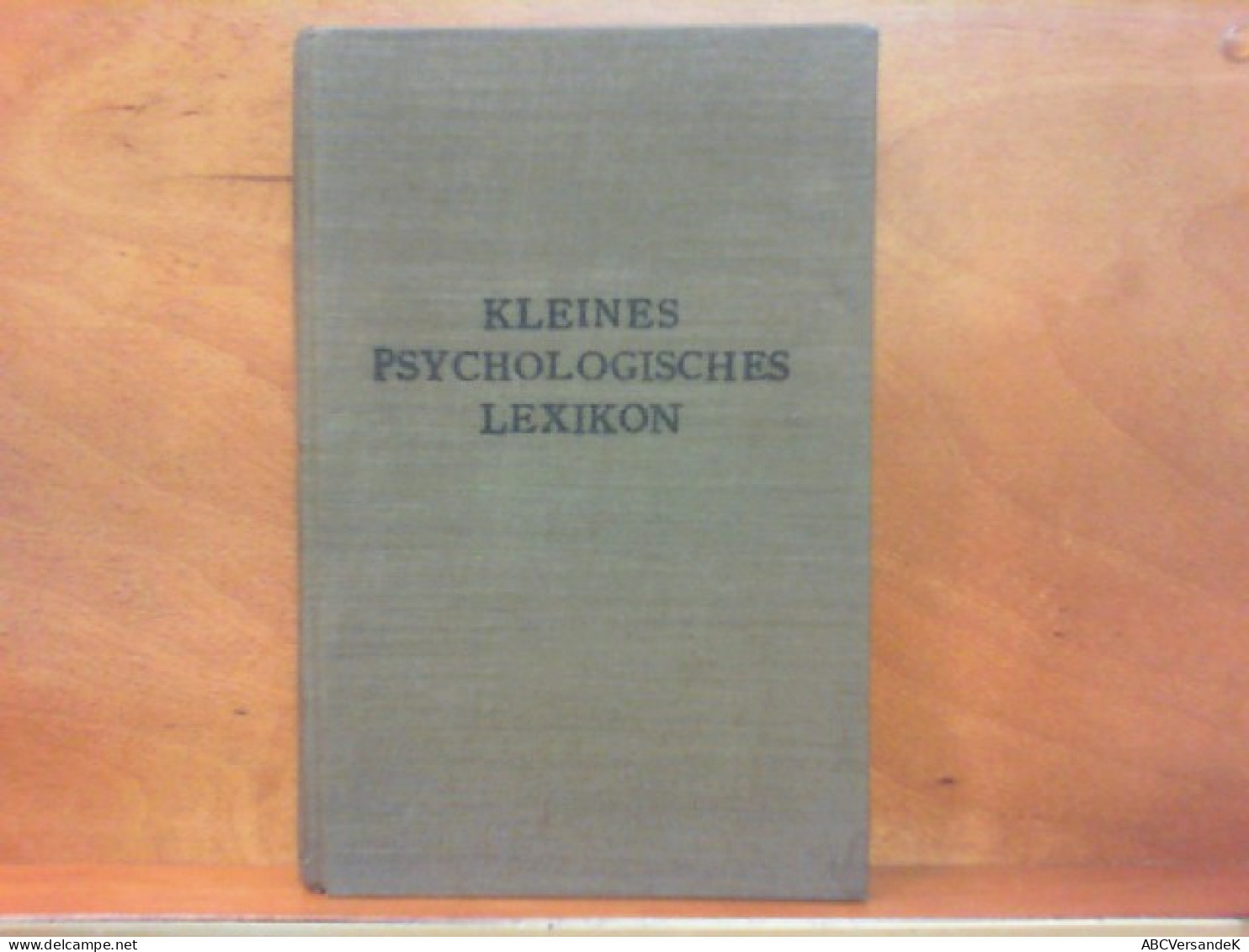 Kleines Psychologisches Lexikon - Ein Fachwörterbuch - Psychology