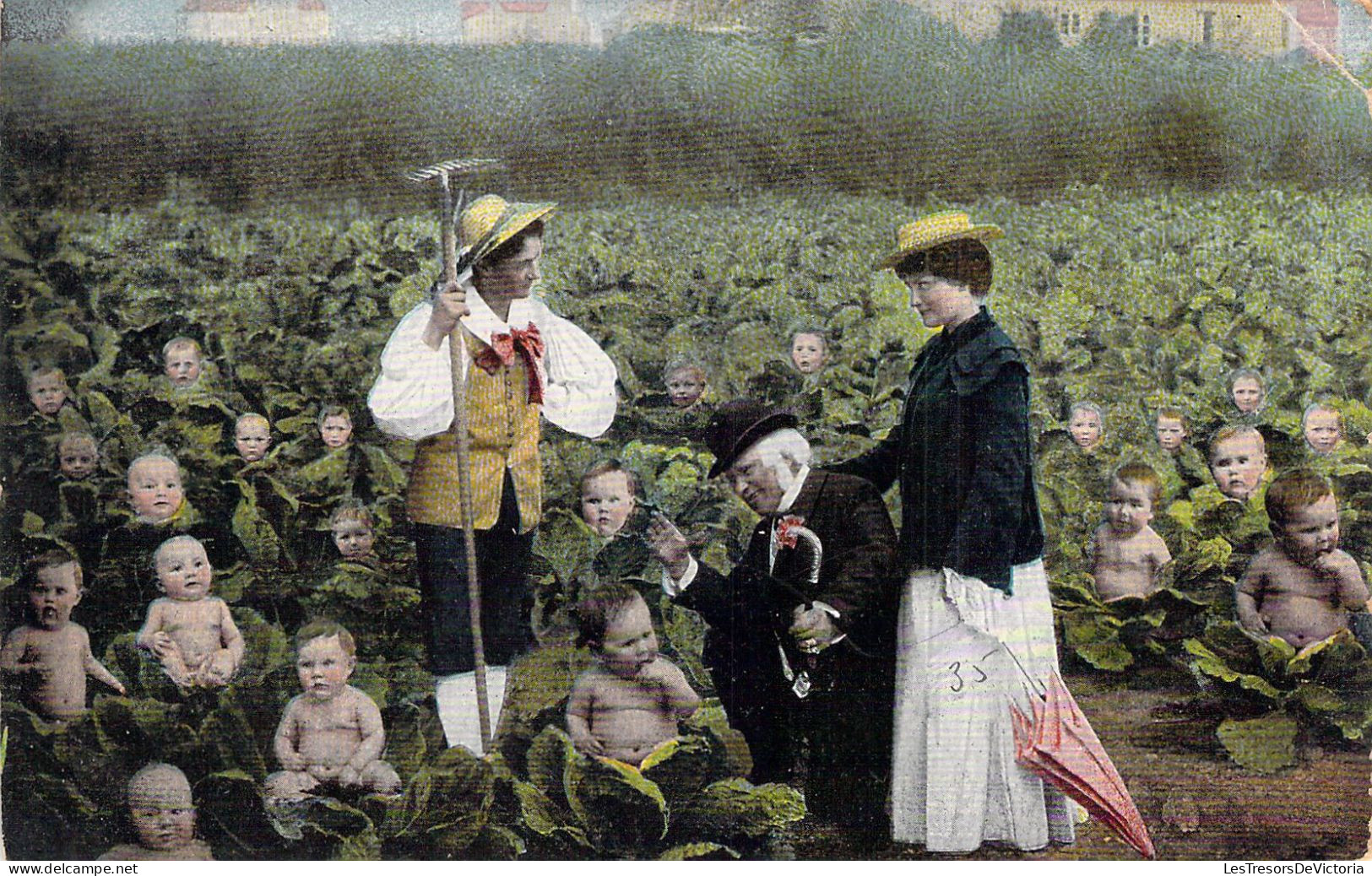 FANTAISIE - Les Bébés Dans Le Champs De Choux - Carte Postale Ancienne - Bébés