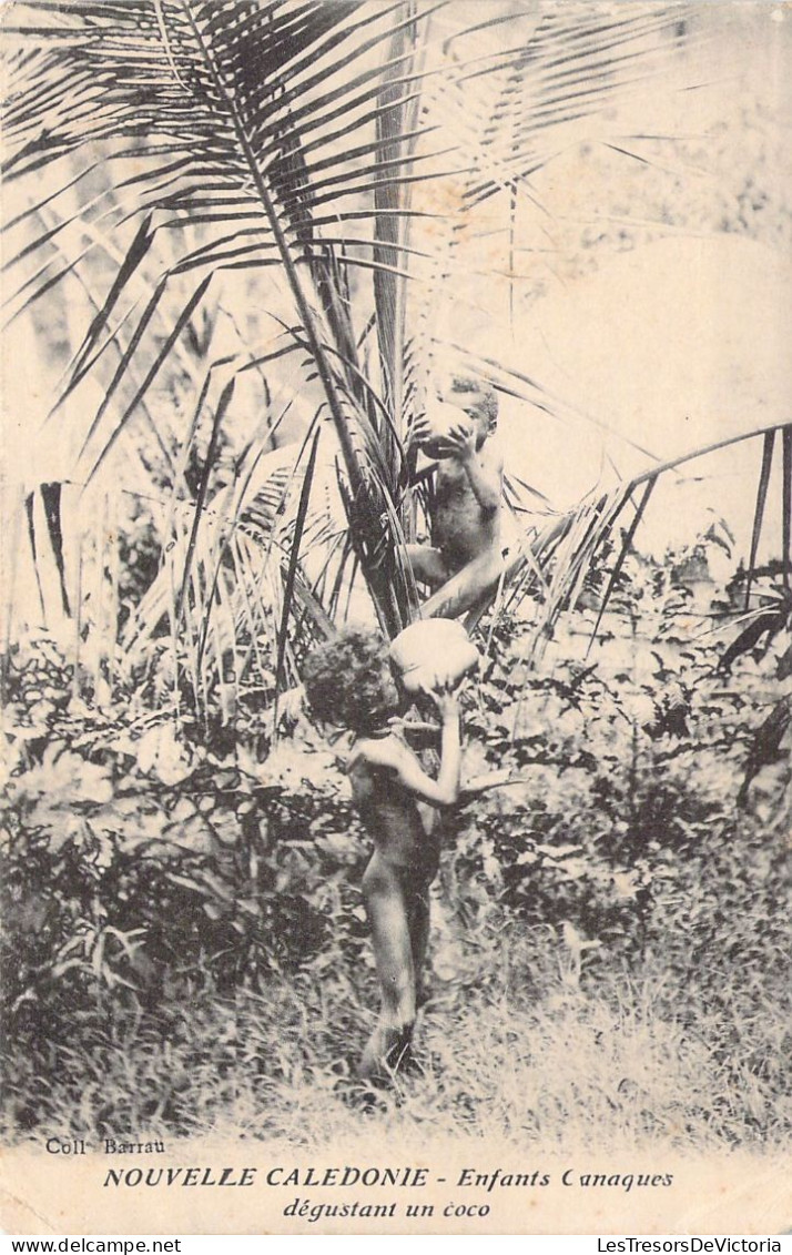 NOUVELLE CALEDONIE - Enfants Canaques Dégustant Un Coco - Carte Postale Ancienne - Nouvelle Calédonie