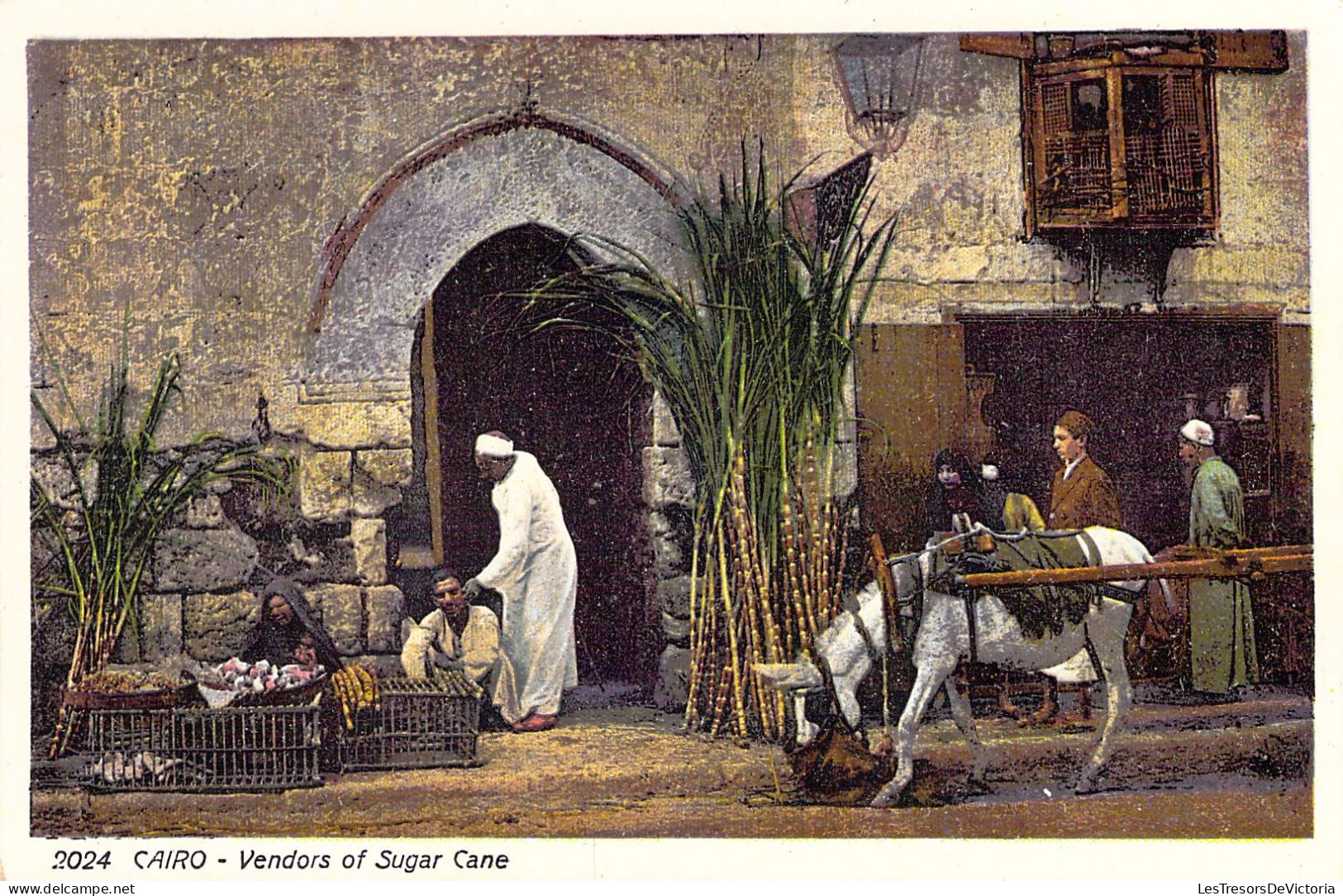 EGYPTE - CAIRO - Vendors Of Sugar Cane - Carte Postale Ancienne - Cairo