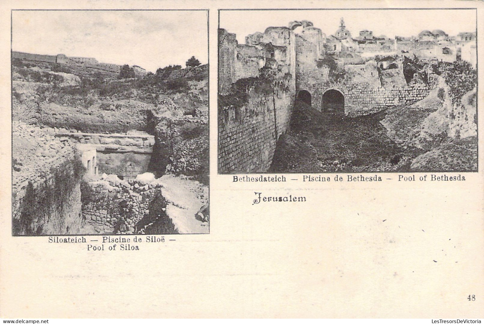 PALESTINE - Jérusalem - Piscine De Siloë - Piscine De Bethesda - Carte Postale Ancienne - Palestine
