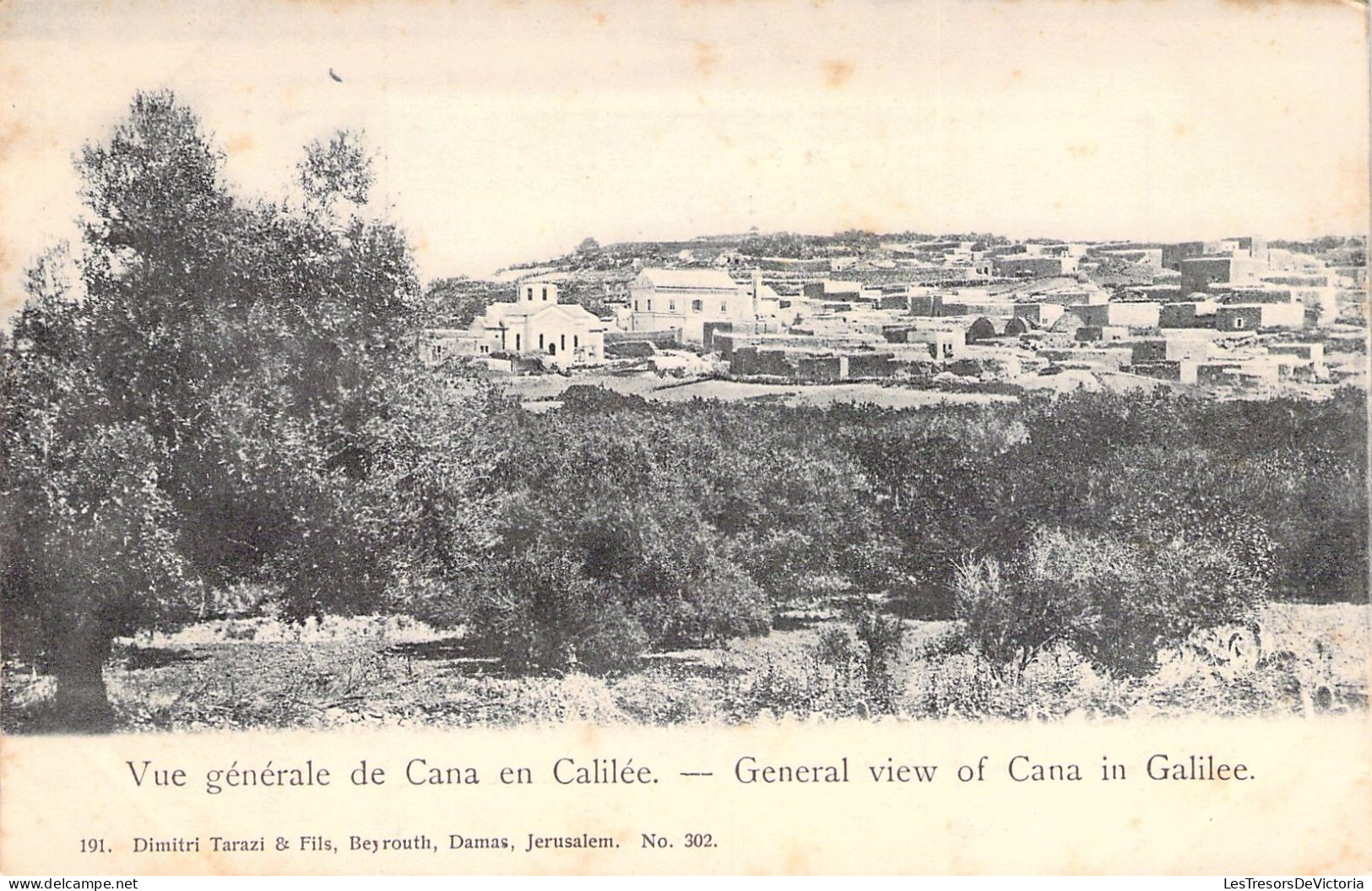 TURQUIE - Vue Générale De Cana En Calilée  - Carte Postale Ancienne - Turquie