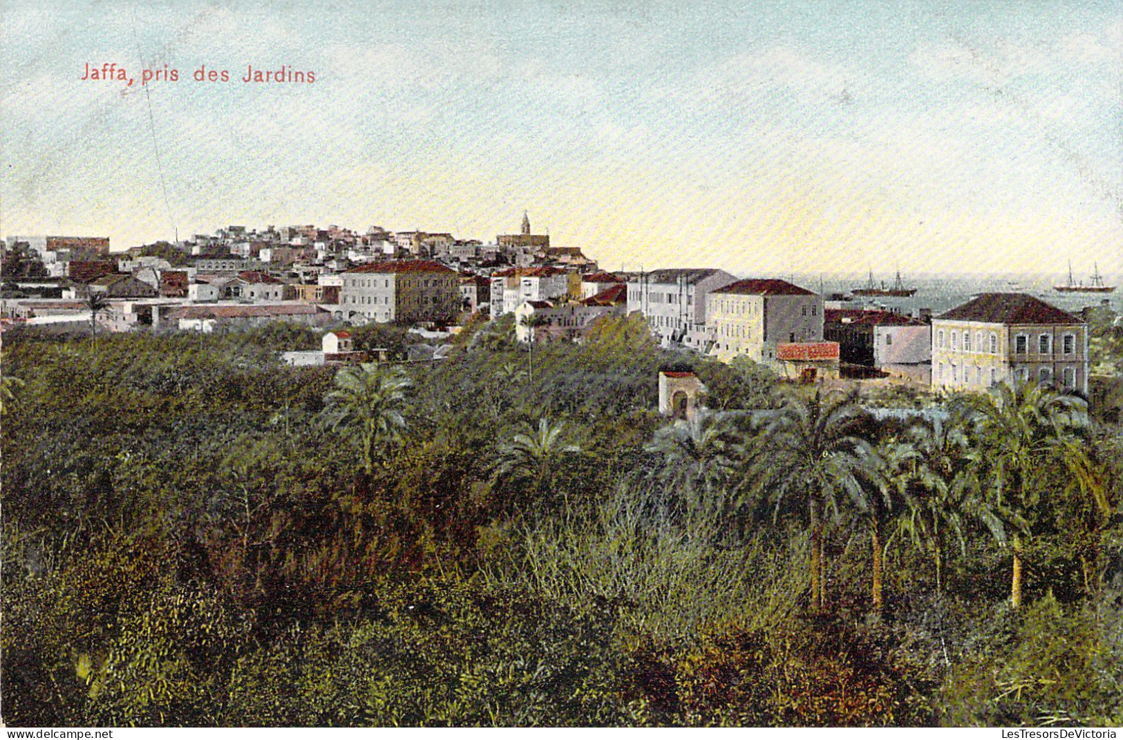 TURQUIE - Jaffa - Pris Des Jardins  - Carte Postale Ancienne - Türkei