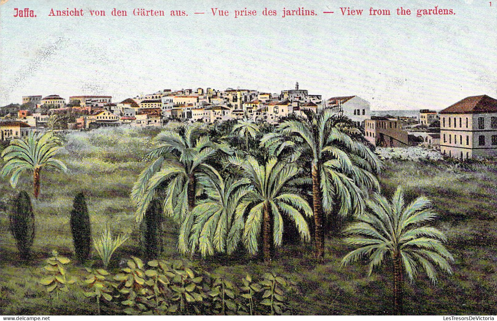 Palestine - Jaffa -Vue Prise Des Jardins - Carte Postale Ancienne - Palestina