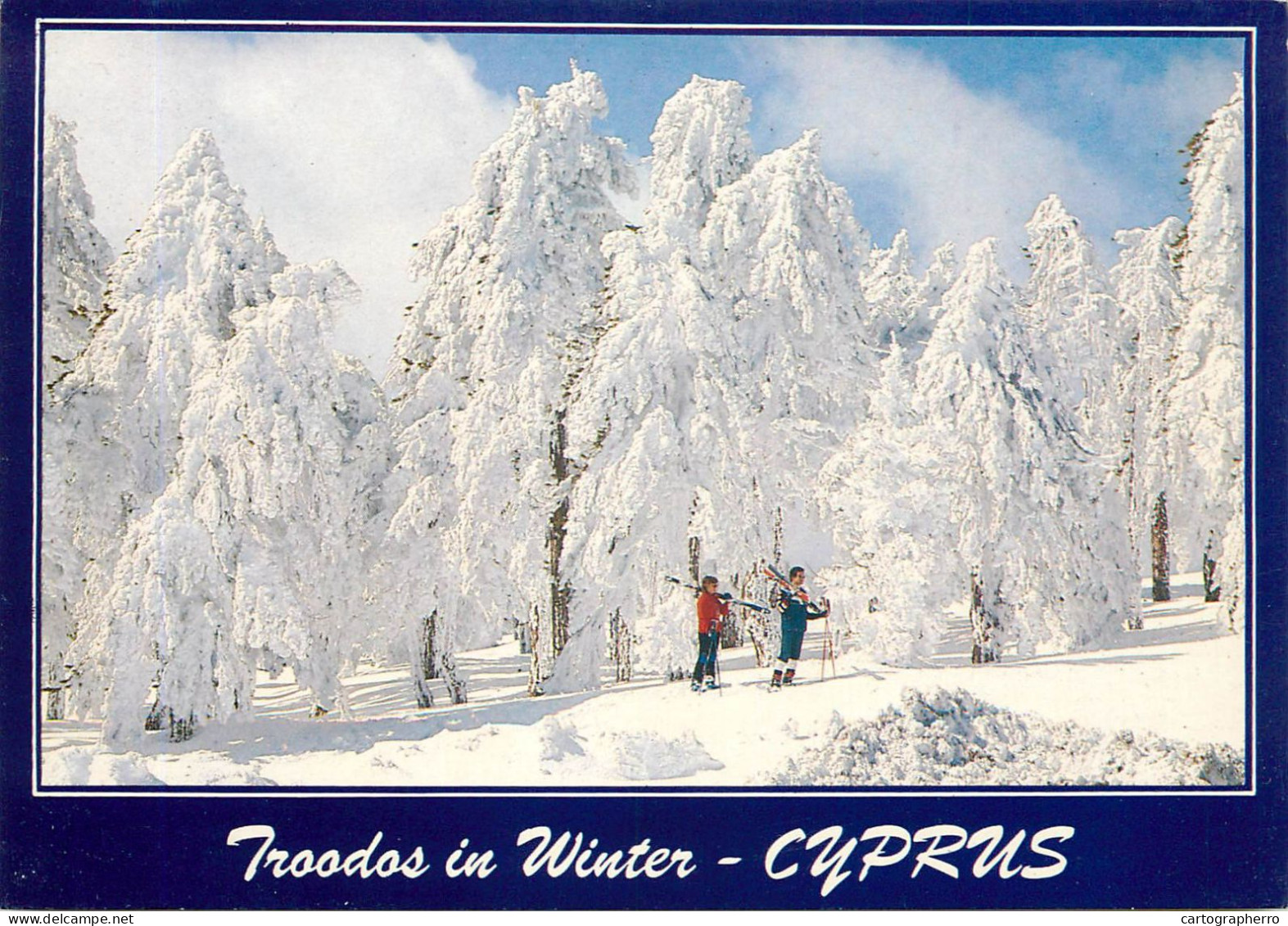 Cyprus Troodos Mountains Winter Scenery - Chypre