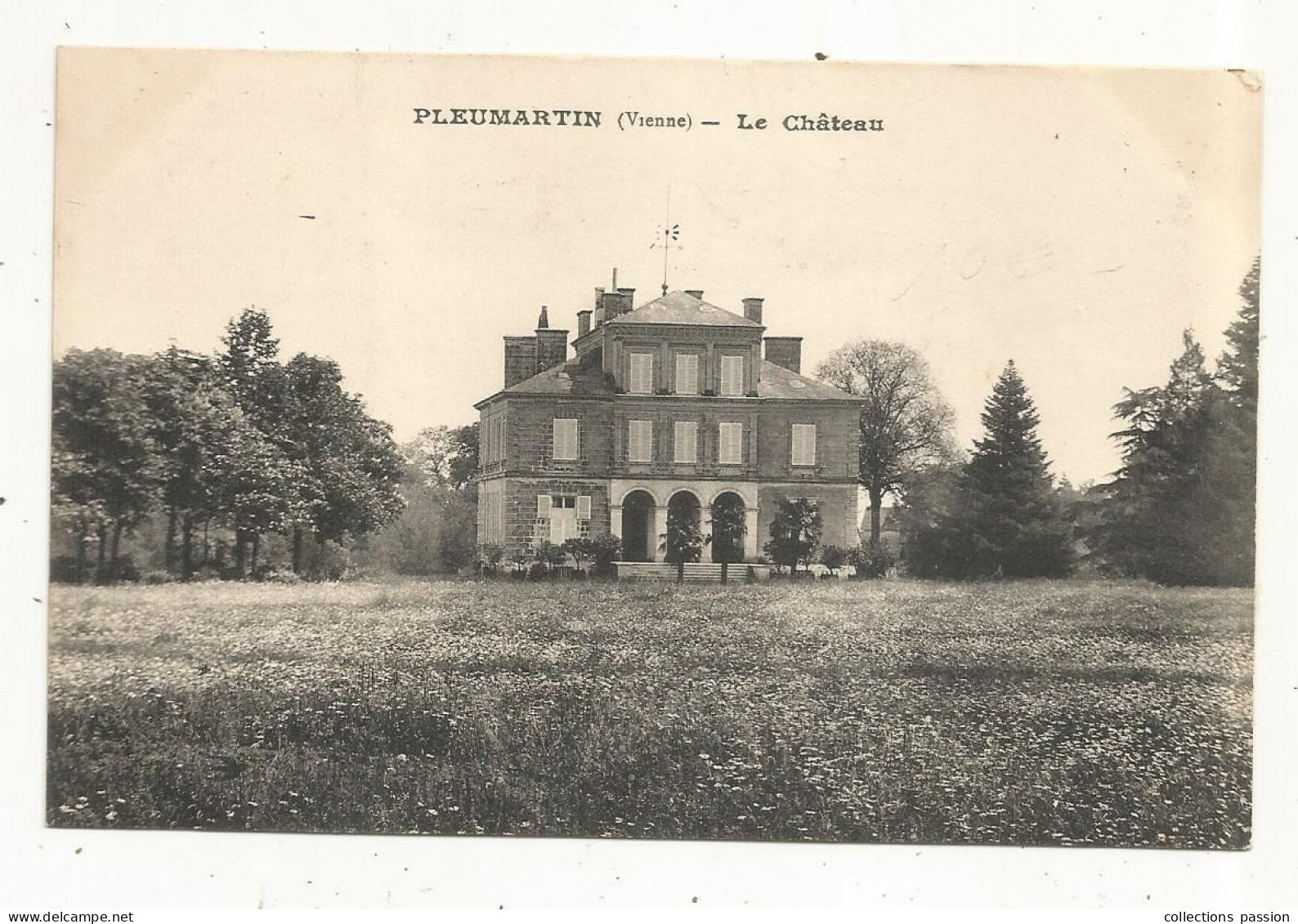 JC, Cp, 86, PLEUMARTIN, Le Château, Vierge - Pleumartin