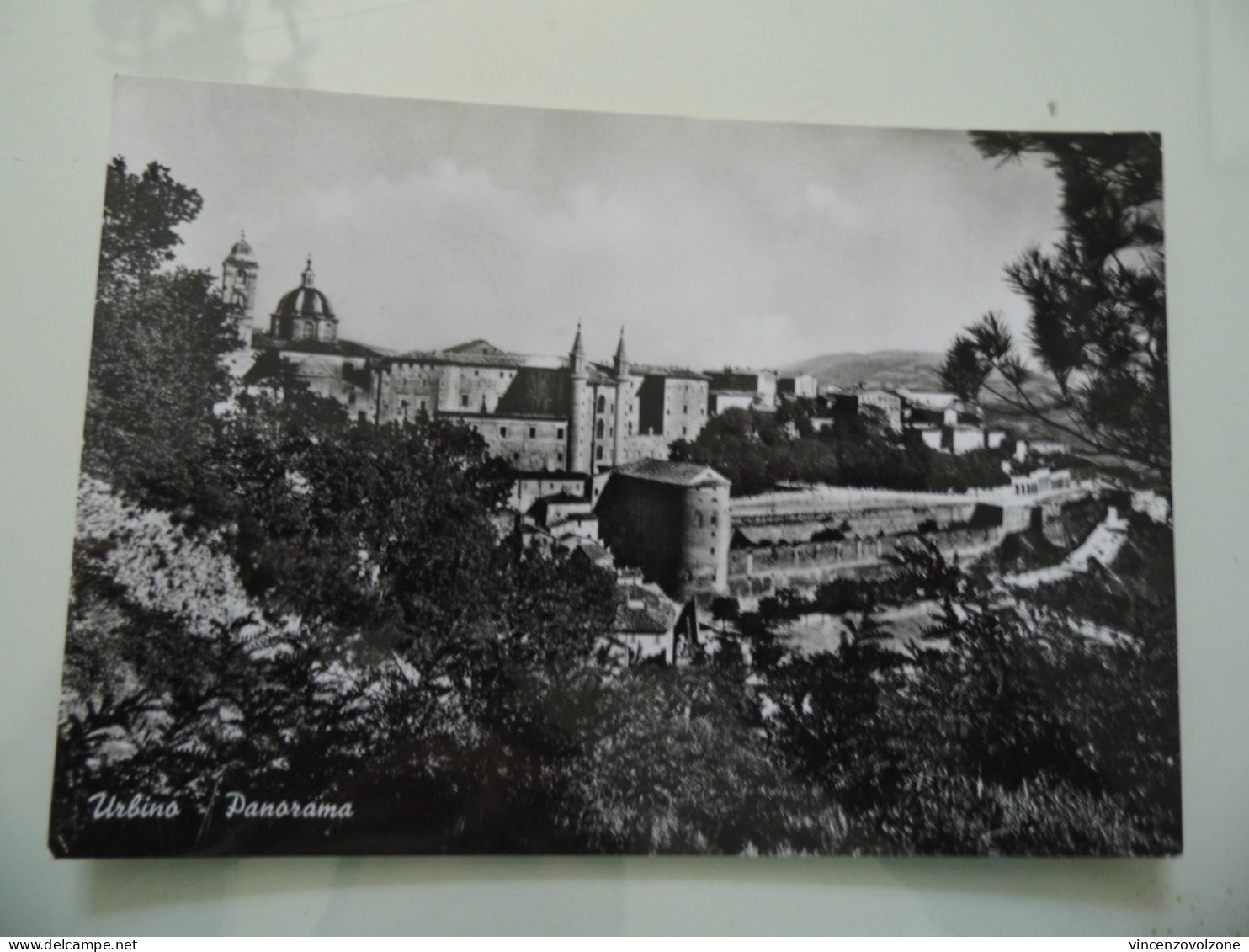 Cartolina Viaggiata "URBINO Panorama" 1966 - Urbino
