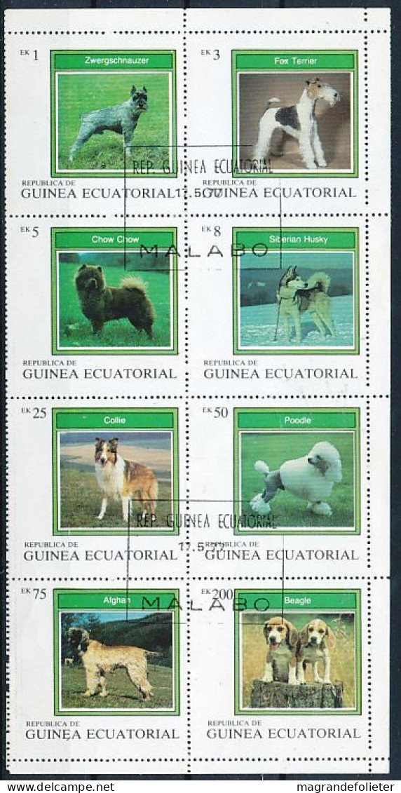 TIMBRE  ZEGEL STAMP  THEMATIQUE CHIEN HOND DOG BF REPUBLIQUE GUINEE EQUATORIALE - Honden