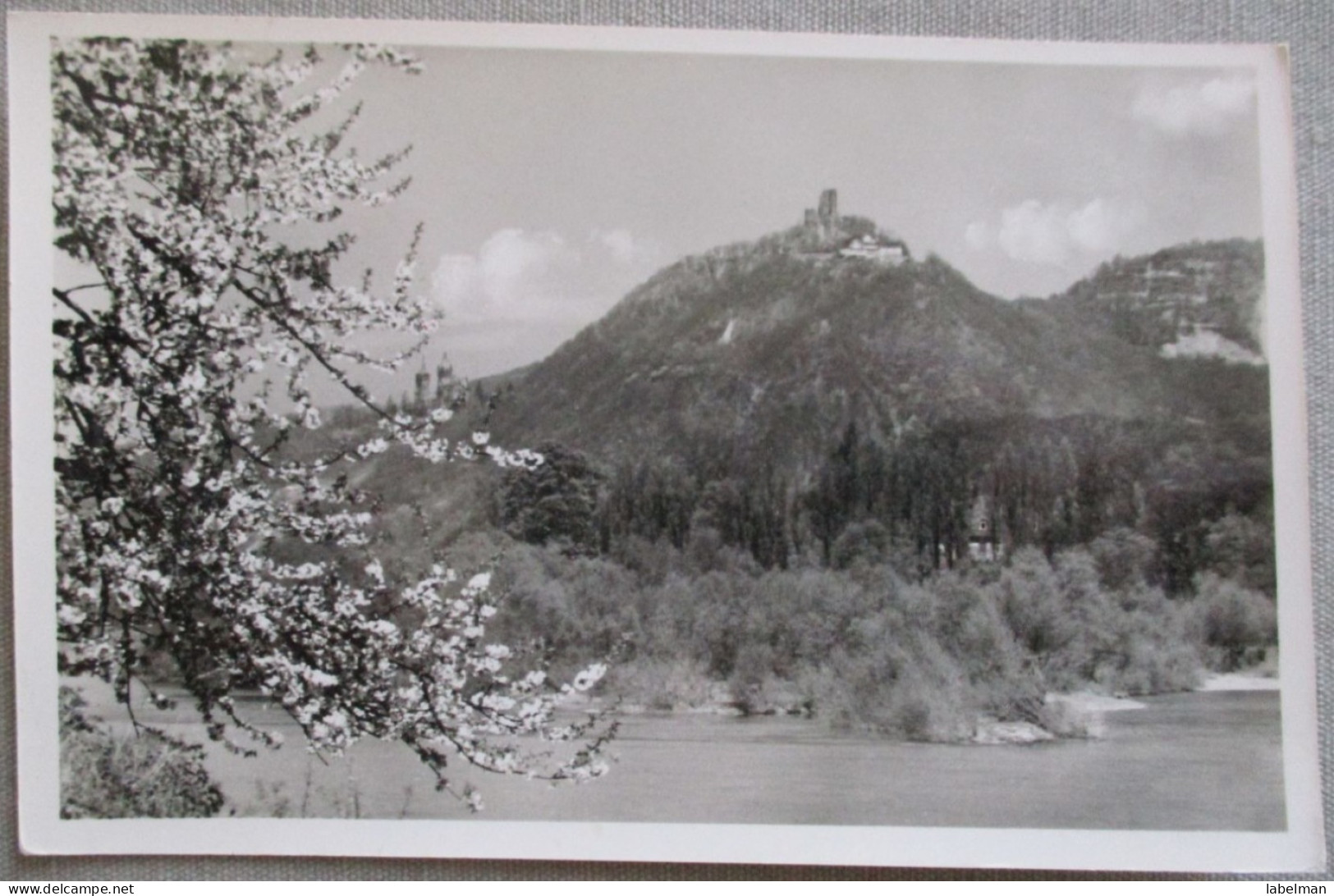 GERMANY DEUTSCHLAND MISC DRACHENFELS RHEIN KARTE POSTKARTE ANSICHTSKARTE POSTCARD CARD CARTE POSTALE CP PC AK - Donauwoerth