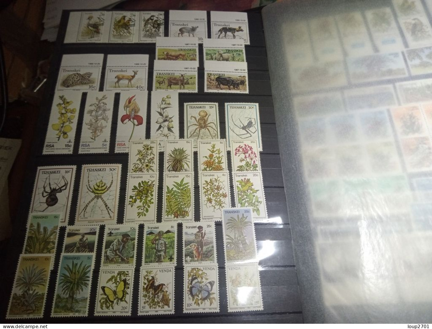 DM338 LOT FEUILLES MONDE NEUFS MNH A TRIER COTE++ DÉPART 10€ - Verzamelingen (in Albums)