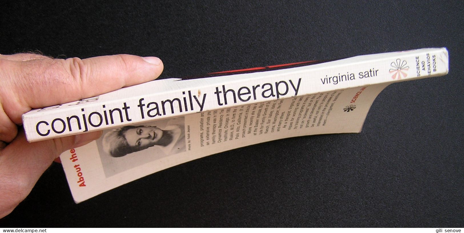 Conjoint Family Therapy By Virginia Satir, 1967 - Psychologie