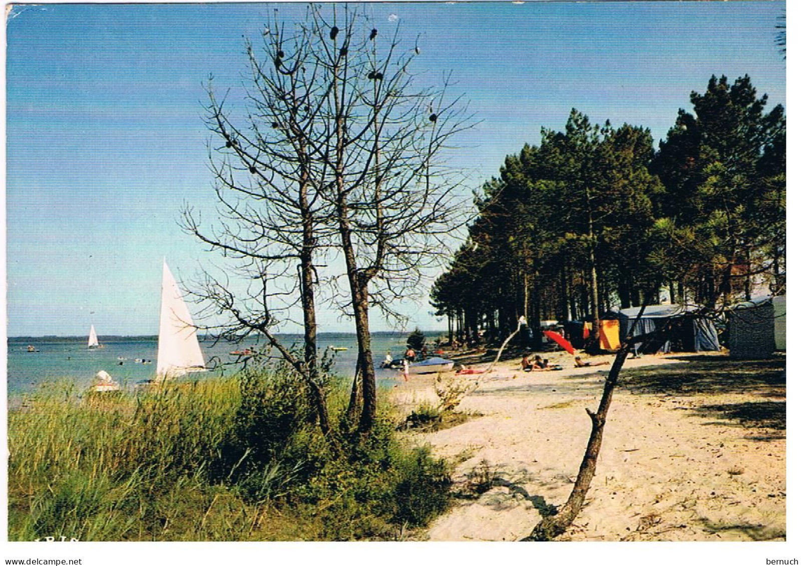 CPM CAMPING Bord Lac Biscarosse - Autres & Non Classés