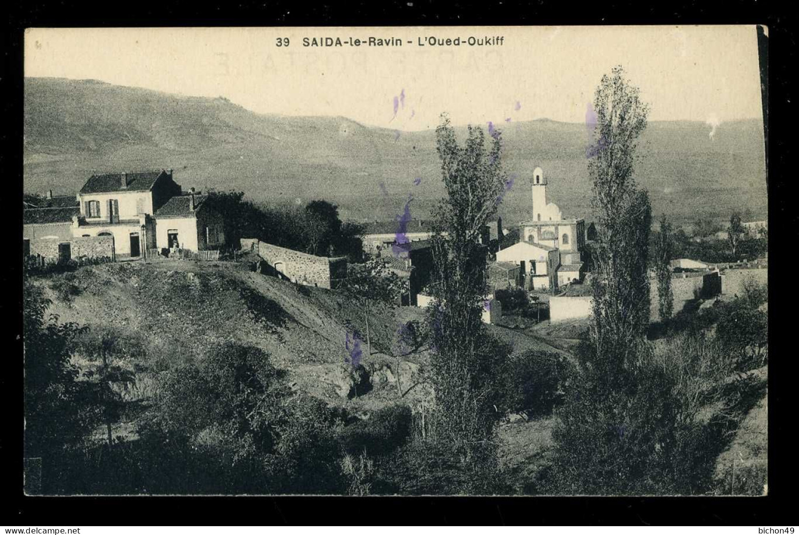 Saïda Le Ravin L'Oued Oukiff - Saïda