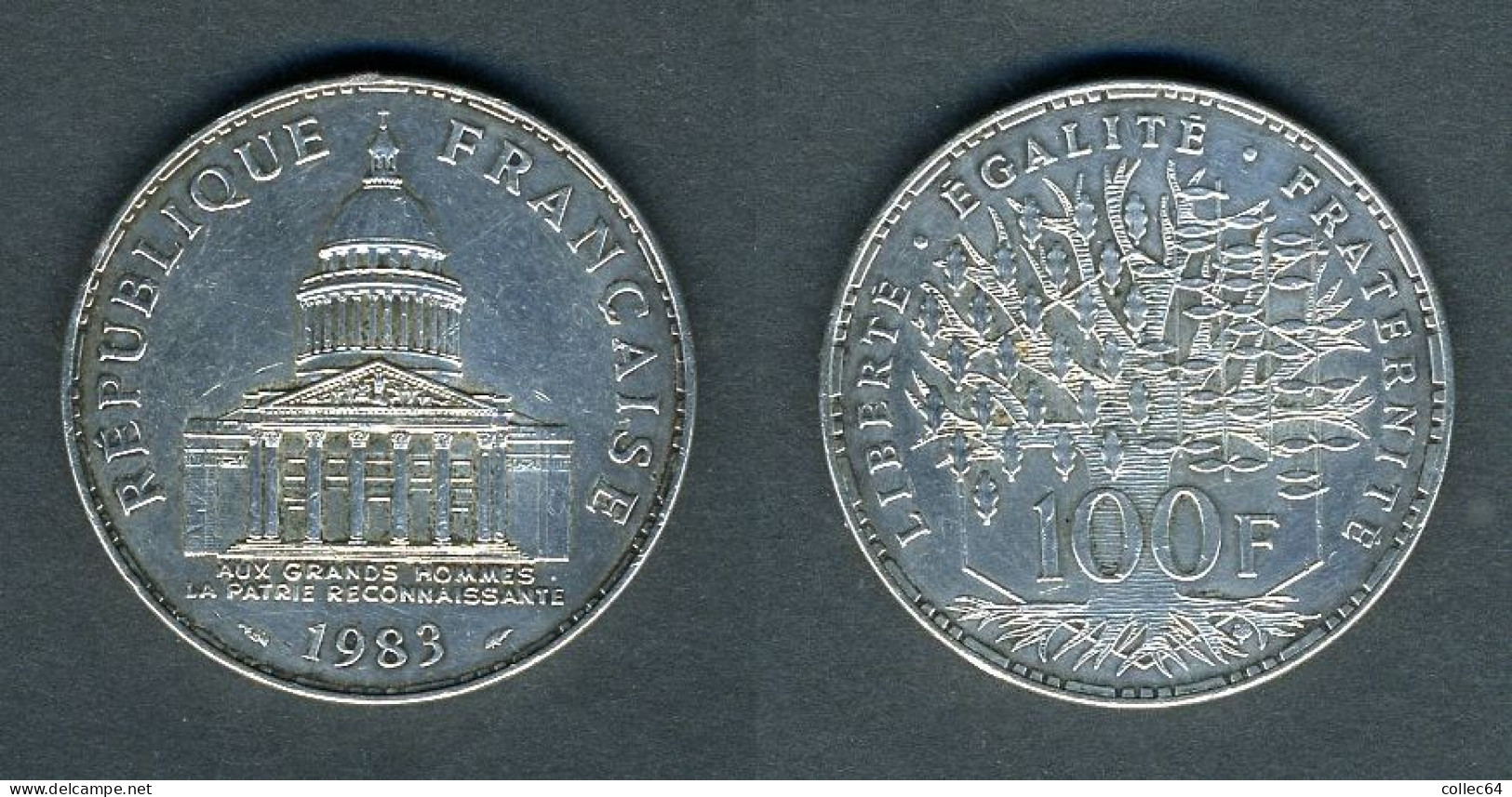 Type Panthéon - 1983 - 100 Francs