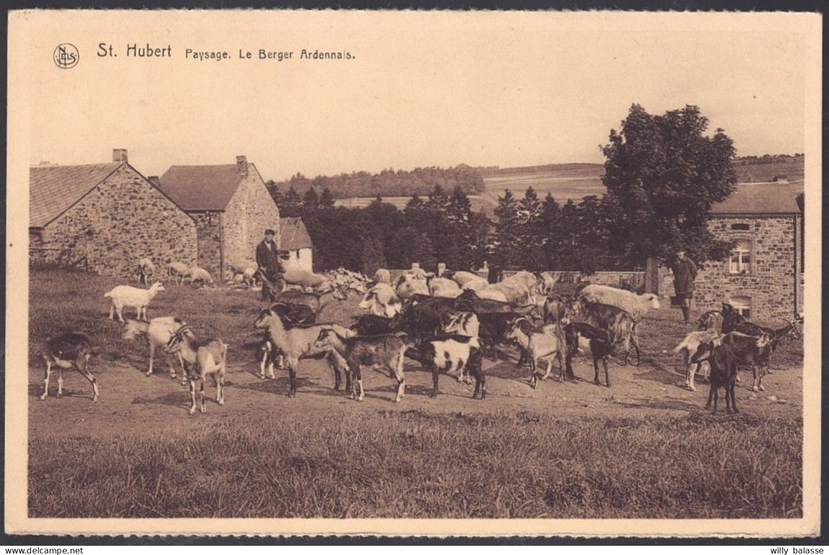 +++ CPA - SAINT HUBERT - Le Berger Ardennais - Chèvres - Moutons  // - Saint-Hubert