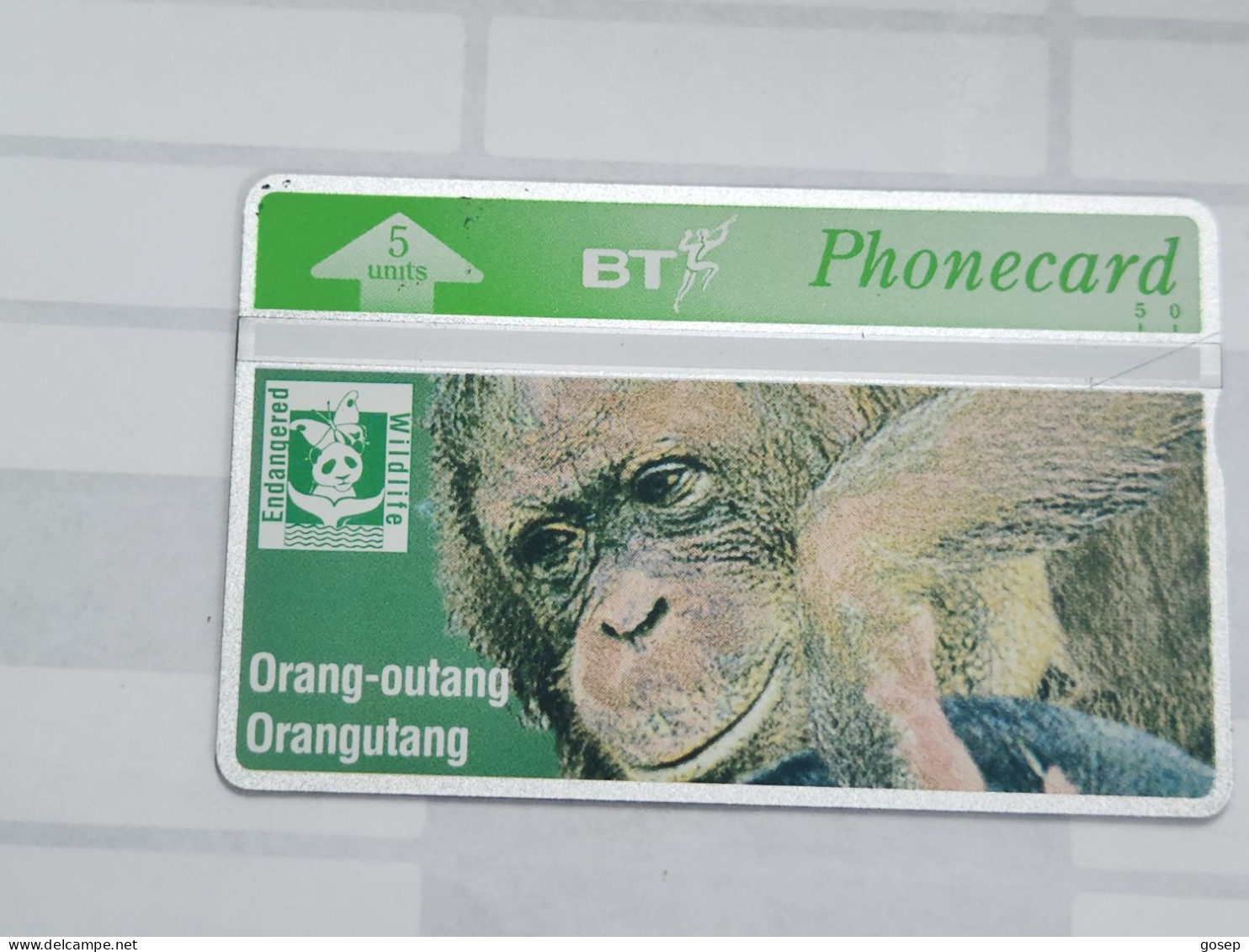 United Kingdom-(BTO-088)Endangered Wildlife(a)orangutang(104)(5units)(405B89717)price Cataloge MINT-10.00£-1card Prepiad - BT Overseas Issues