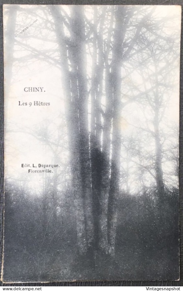 CHINY  Les 9 Hêtres. Ed Duparque, Florenville. 1 CP Postée En 1910 - Chiny