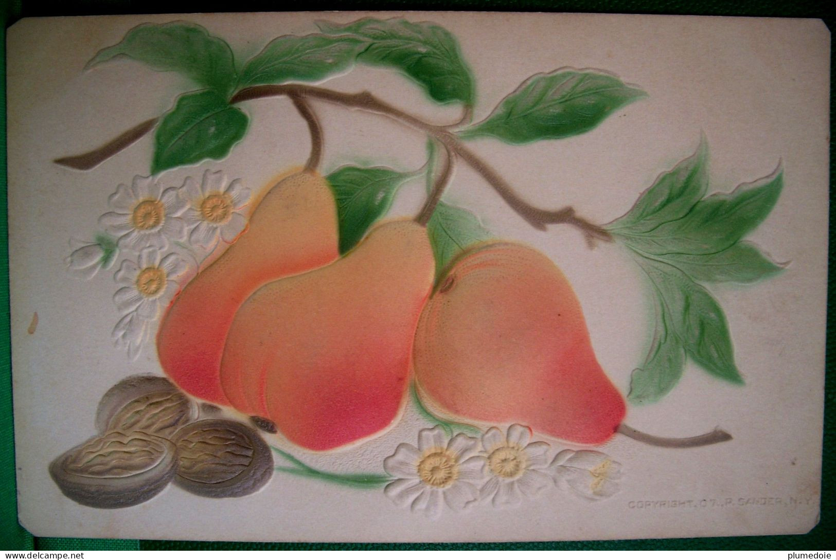 Cpa   Gaufrée Fruits POIRES NOIX , Fleurs MARGUERITES , 1907 , Embossed PEARS & NUTS  OLD PC - Piante Medicinali