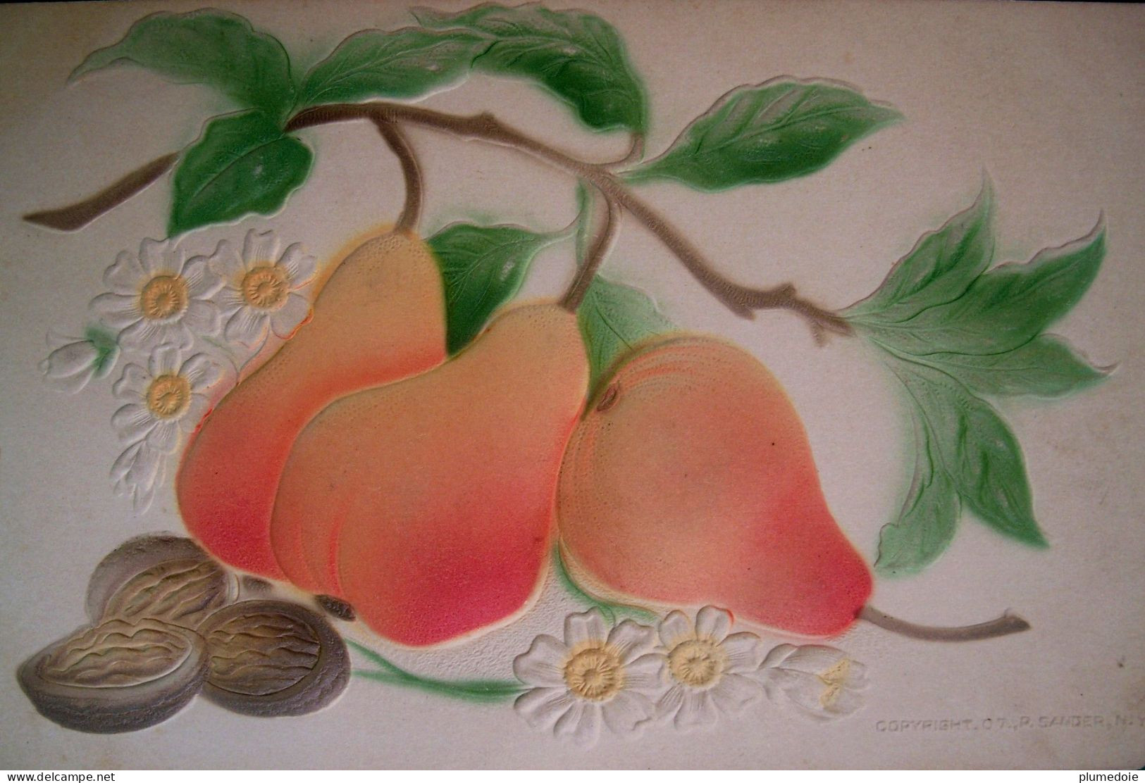 Cpa   Gaufrée Fruits POIRES NOIX , Fleurs MARGUERITES , 1907 , Embossed PEARS & NUTS  OLD PC - Geneeskrachtige Planten