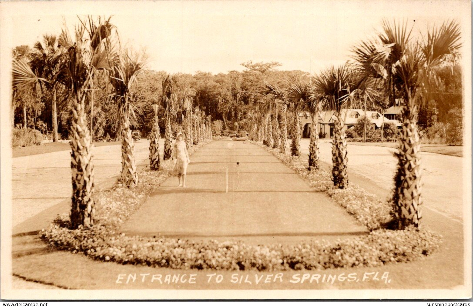 Florida Silver Springs Entrance Real Photo - Silver Springs